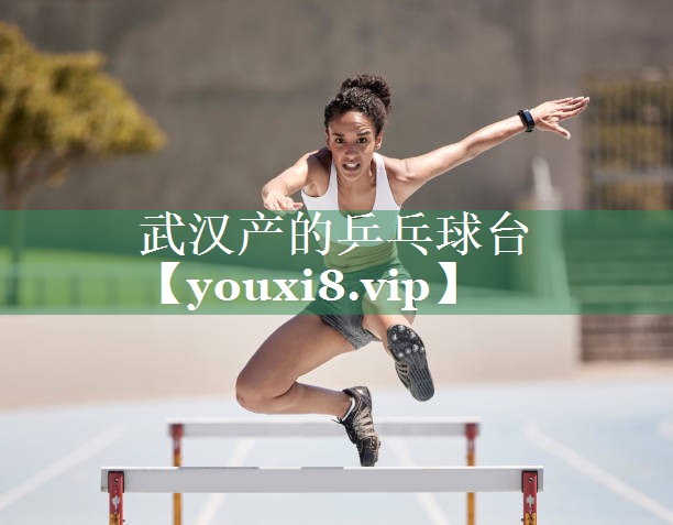 武汉产的乒乓球台
